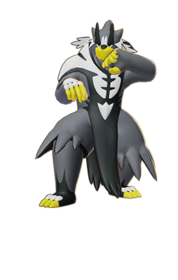 Selected meta pokemon