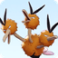 Avatar of the pokemon Dodrio